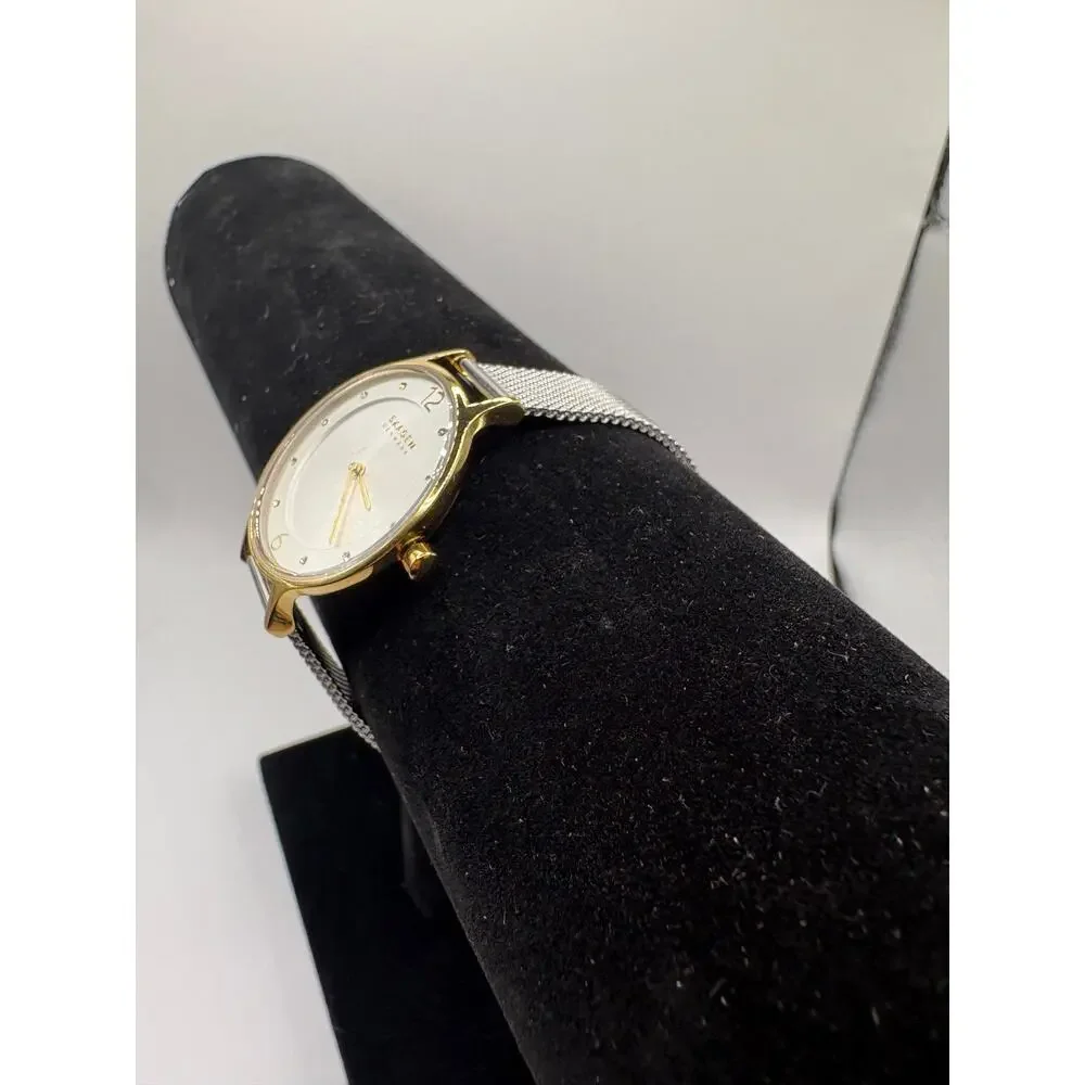 0227KC - Skagen Skagen Skw2340 Womens Two-Tone Gold Silver Mesh Watch